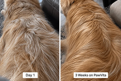 PawVita Premium Liquid Collagen