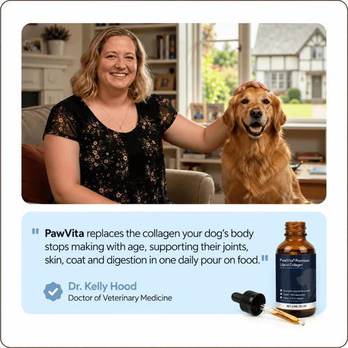 PawVita Premium Liquid Collagen