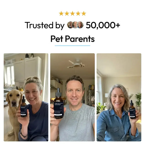 PawVita Premium Liquid Collagen