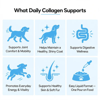 PawVita Premium Liquid Collagen