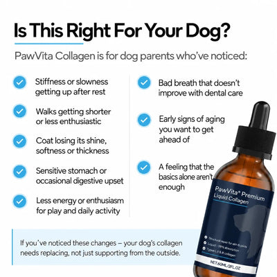 PawVita Premium Liquid Collagen