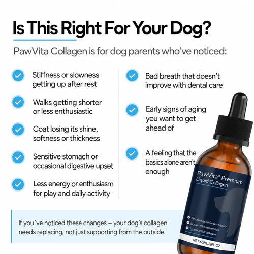 PawVita Premium Liquid Collagen