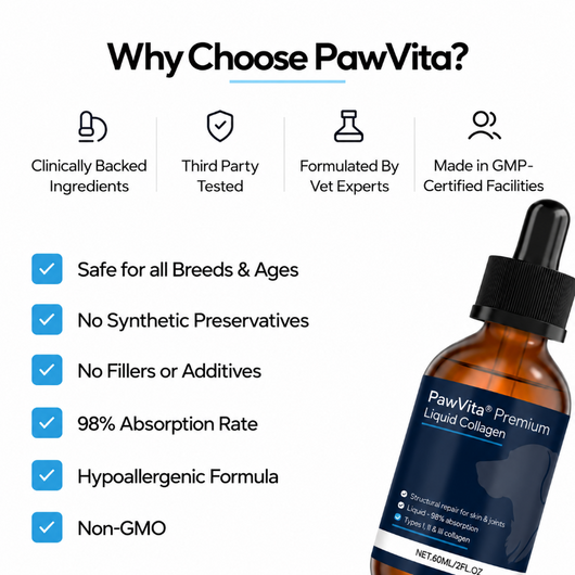 PawVita Premium Liquid Collagen